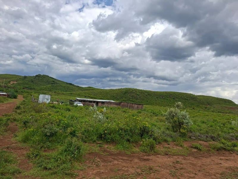 Gilgil Plains